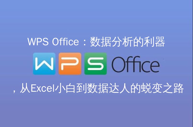 WPS Office数据分析界面概览