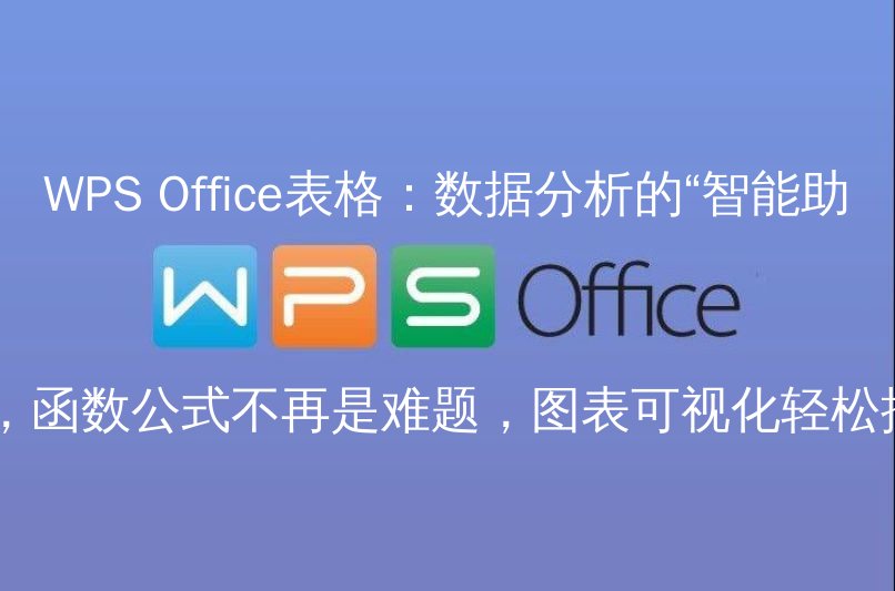 WPS Office表格界面概览
