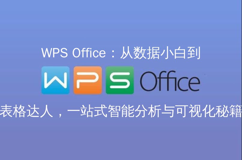 WPS Office：从数据小白到表格达人，一站式智能分析与可视化秘籍 | 金山办公金山WPS Office官网 - WPS Office操作指南