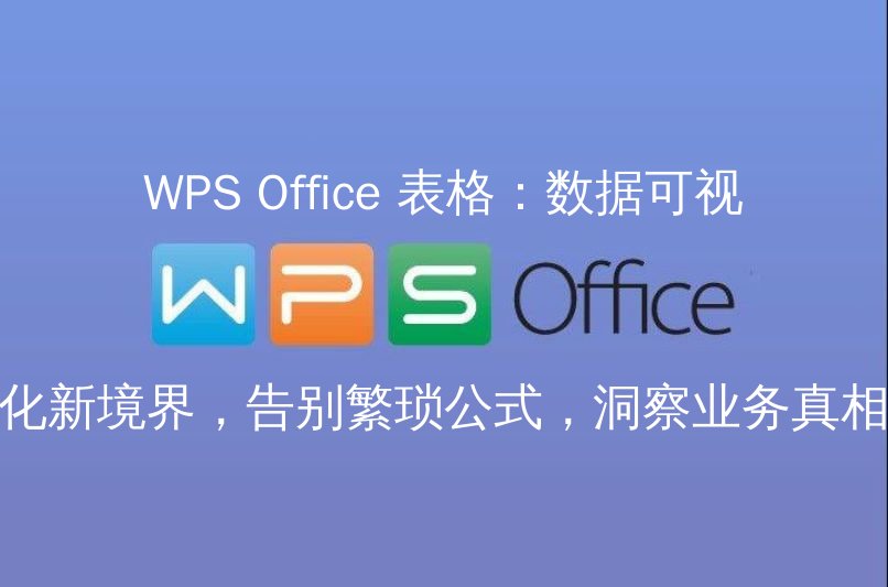 WPS Office 表格数据可视化界面