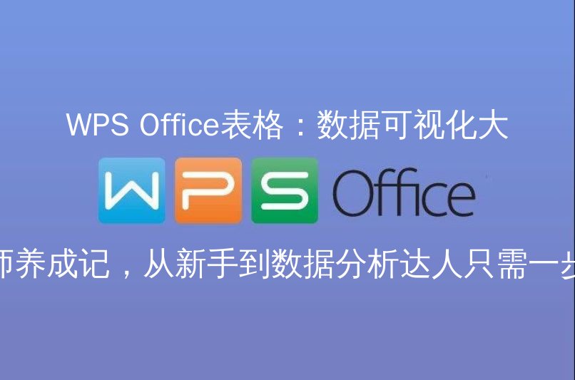 WPS Office表格：数据可视化大师养成记，从新手到数据分析达人只需一步 | 金山办公金山WPS Office官网 - WPS Office操作指南