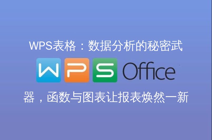 WPS表格数据分析界面