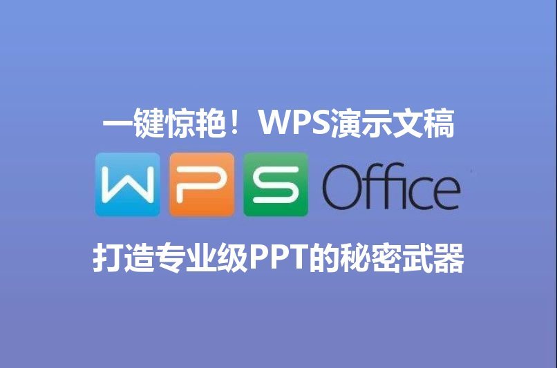 WPS 表格数据可视化功能展示