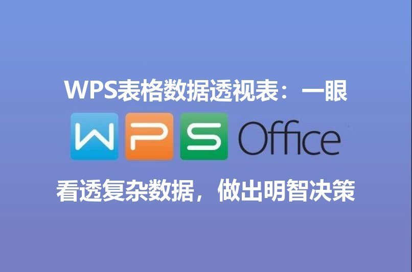 WPS Office表格大师：数据可视化功能演示